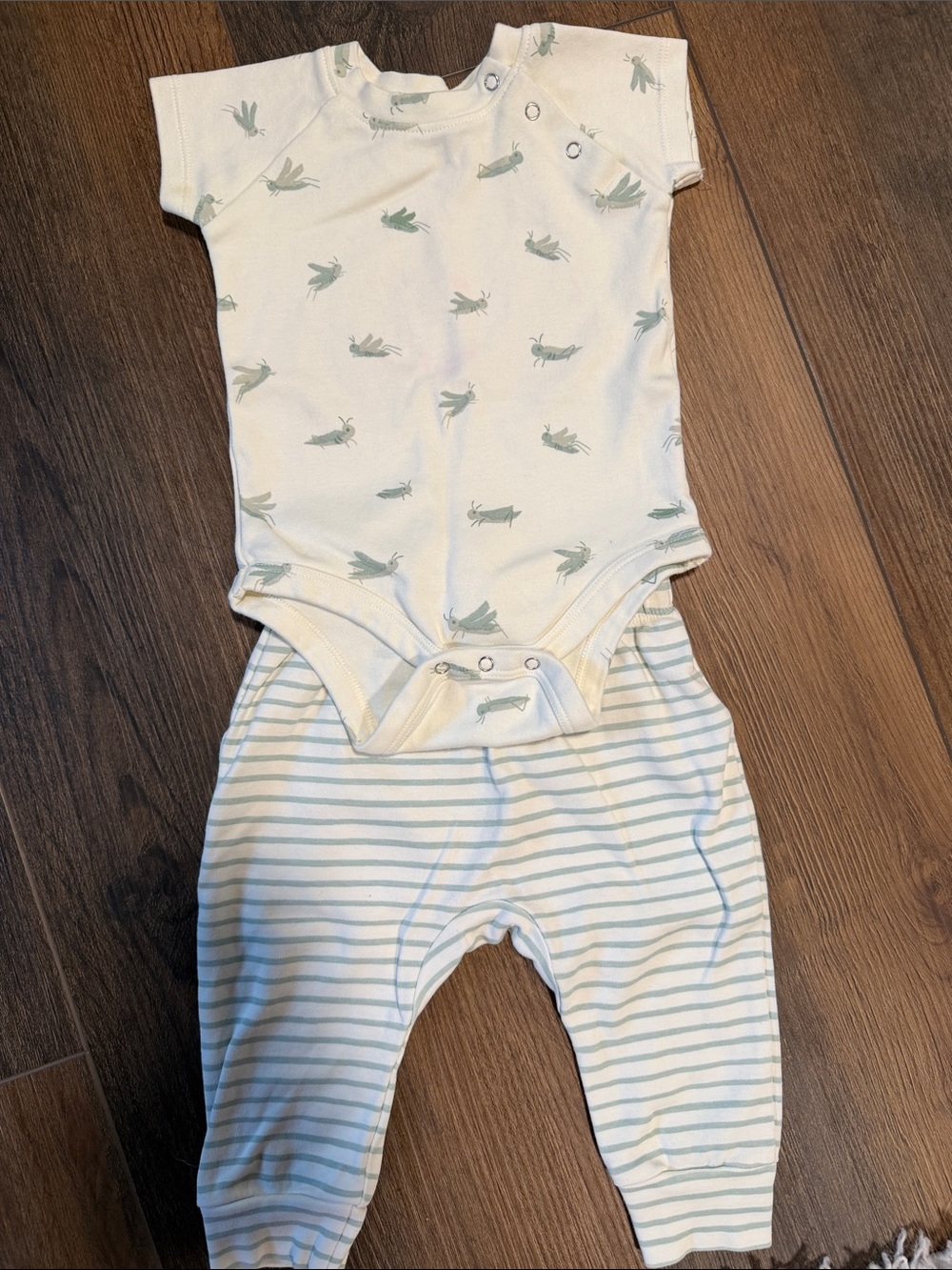 Pehr grasshopper set